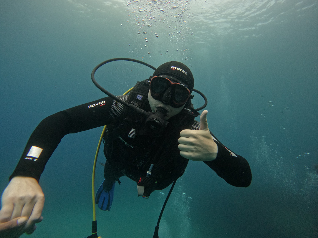 Deep Blue Azores Diving Center-亚速尔群岛英雄港中心区必去景点