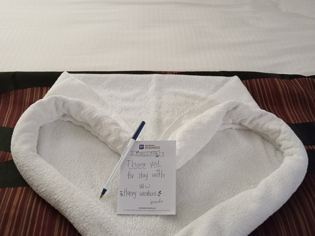 Best Western Plains Motel主图