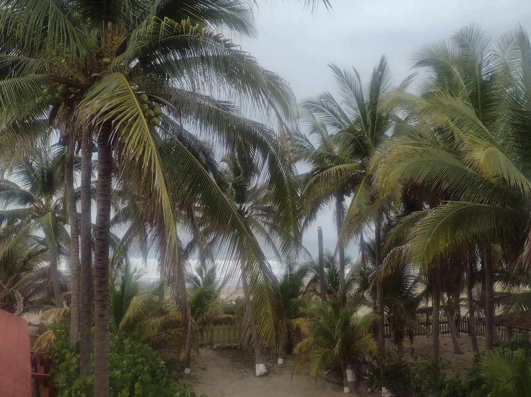 Hotel Marbella主图