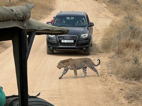 Bubezi Safaris, Tours & Transfers-雾观必去景点