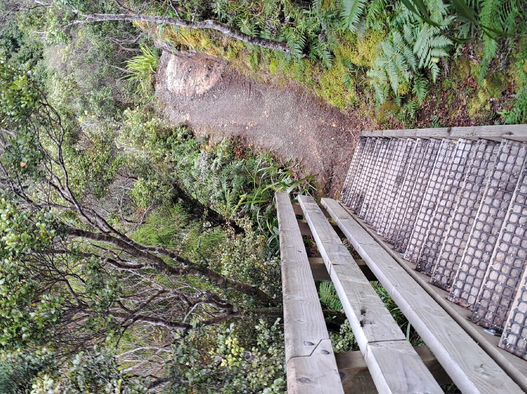 Mt Hobson via Windy Canyon-Great Barrier Island必去景点