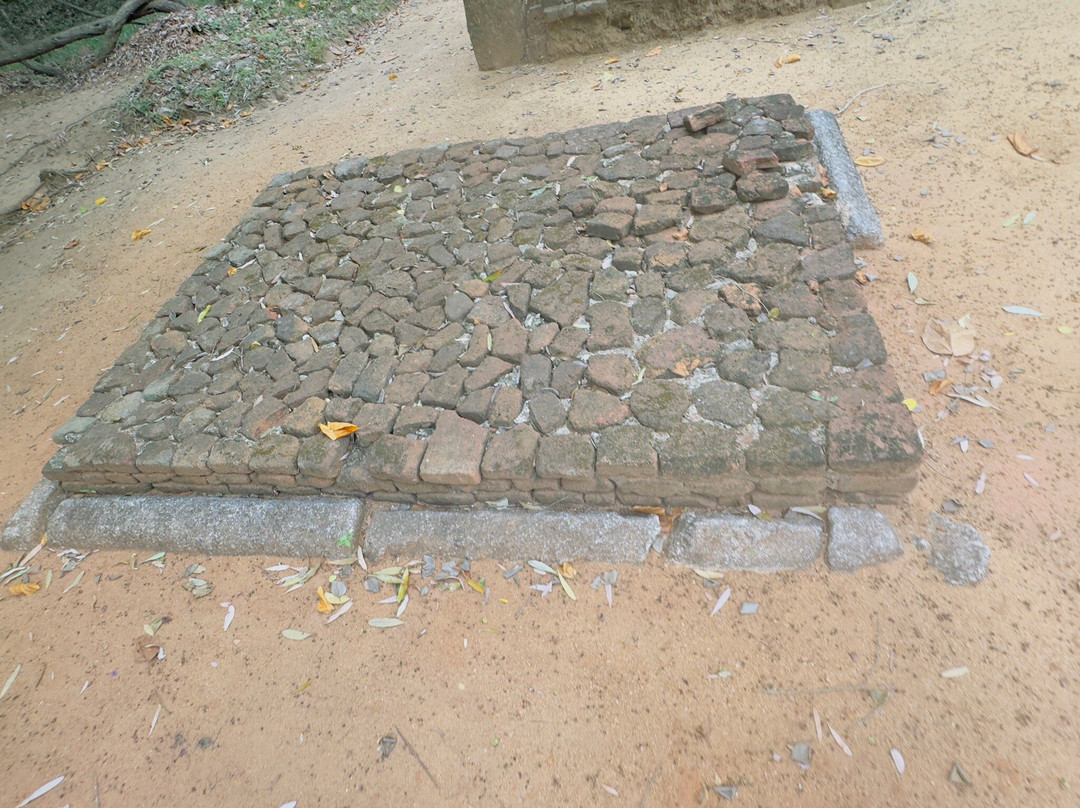 Sigiri Jeep Safari Tours & Tuk/tuk rides-锡吉里亚必去景点