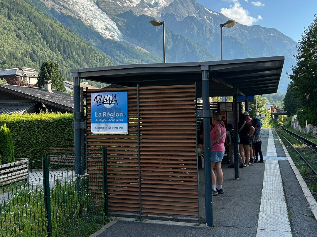 Mont-Blanc Express-马蒂尼必去景点