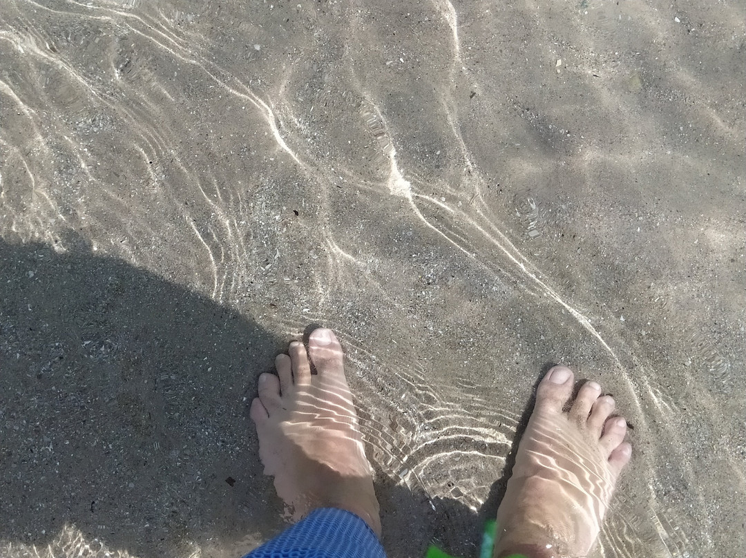 Plage de Calvi-卡尔维必去景点