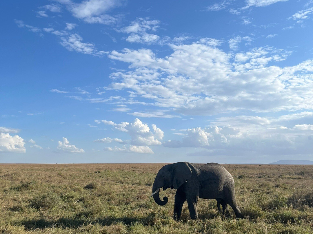 3 Wonders Expeditions-阿鲁沙必去景点