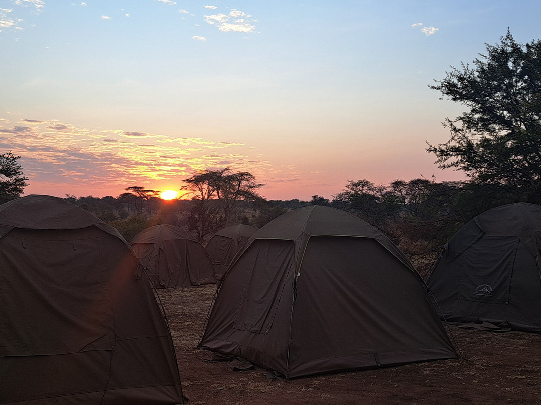 Safari Multiways-纳特龙湖必去景点