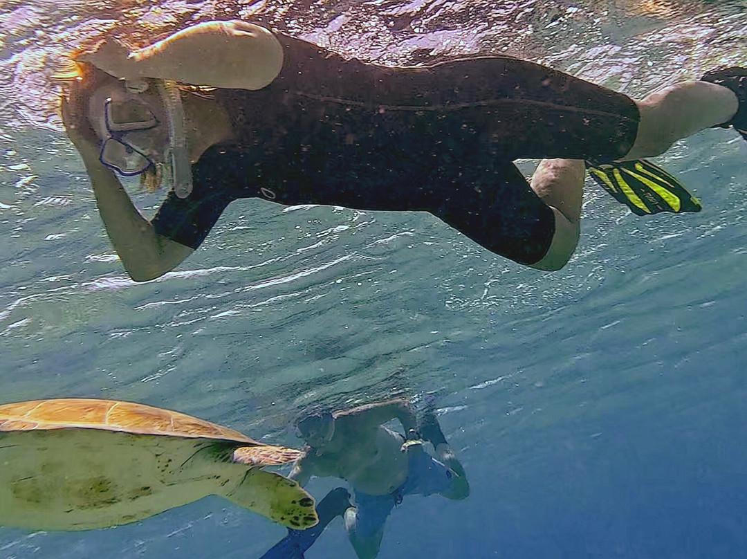 Amazing Bonaire-Hato必去景点