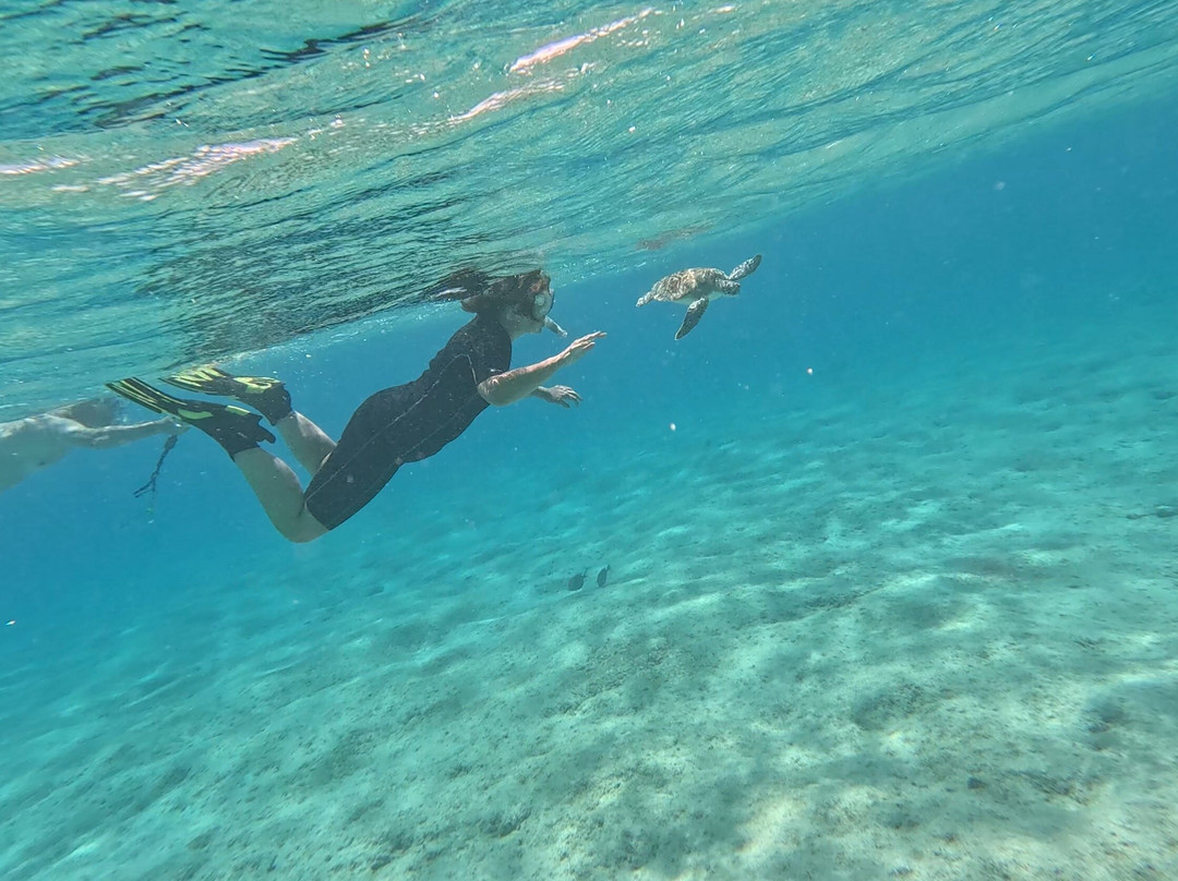 Amazing Bonaire-Hato必去景点