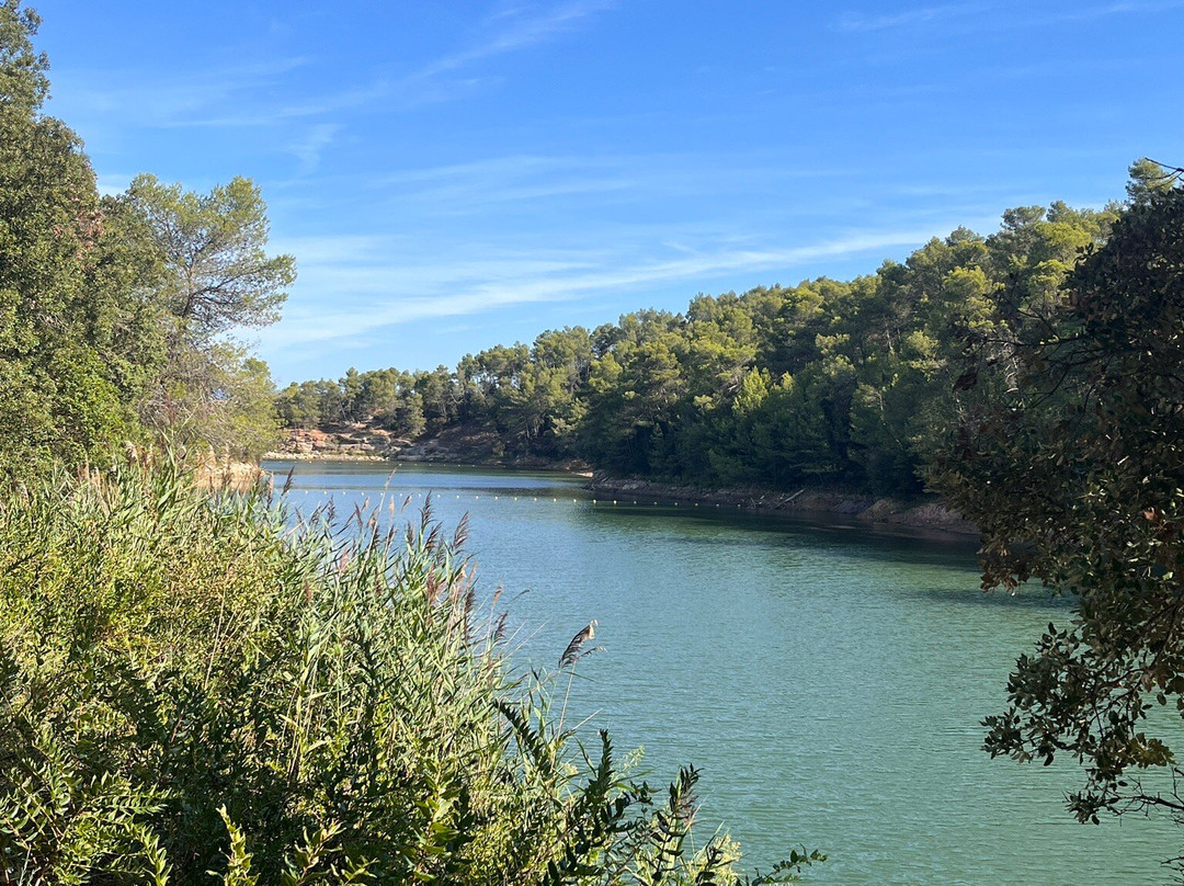 Lac de Cavayere景点图片