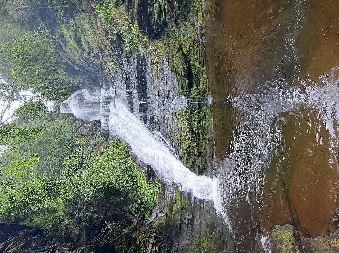 Dingmans Falls景点图片