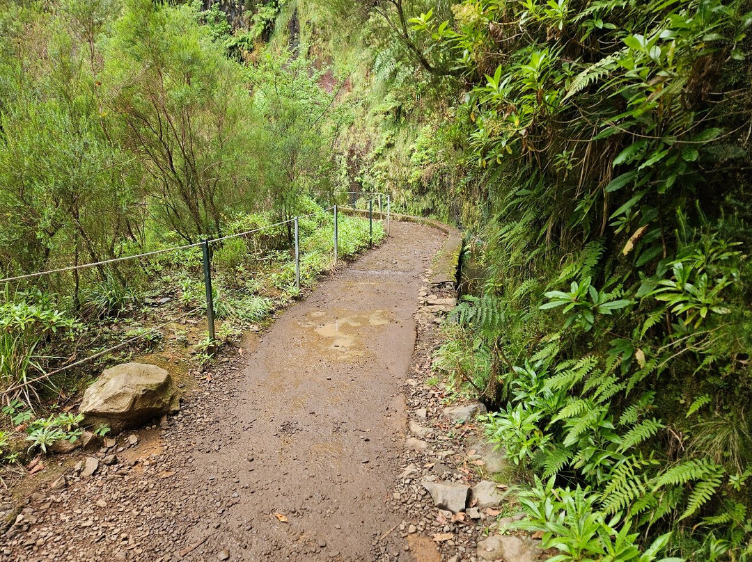 Levada do Risco-卡列塔必去景点