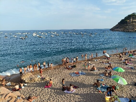 Great Beach景点图片