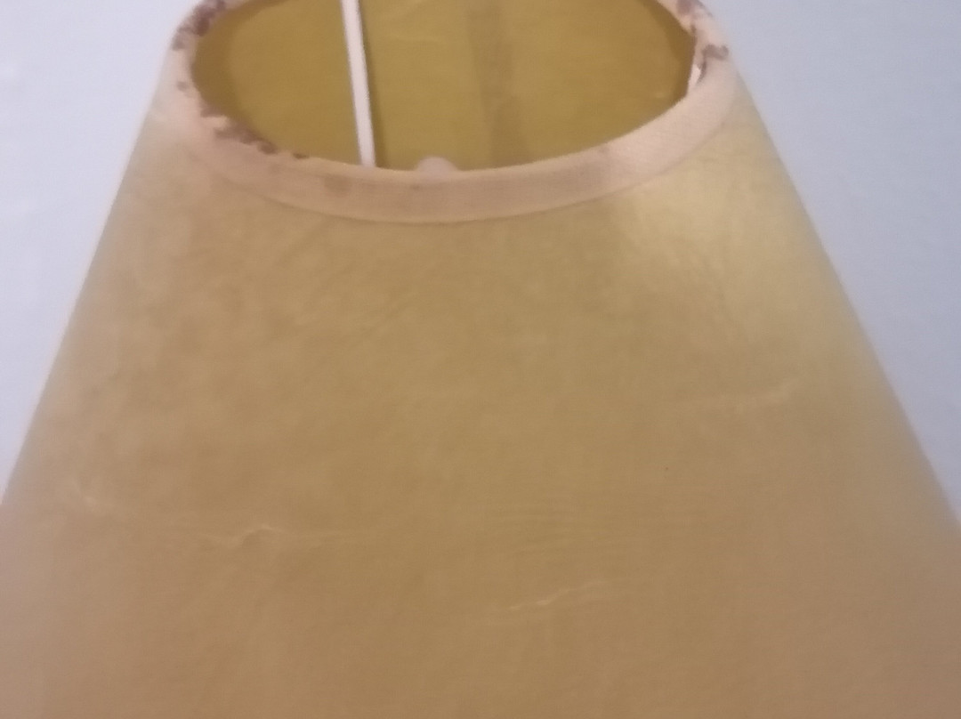 Dimitra Studios主图