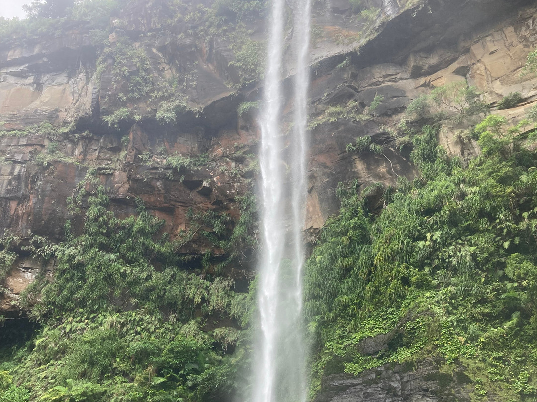 Pinaisara Falls景点图片