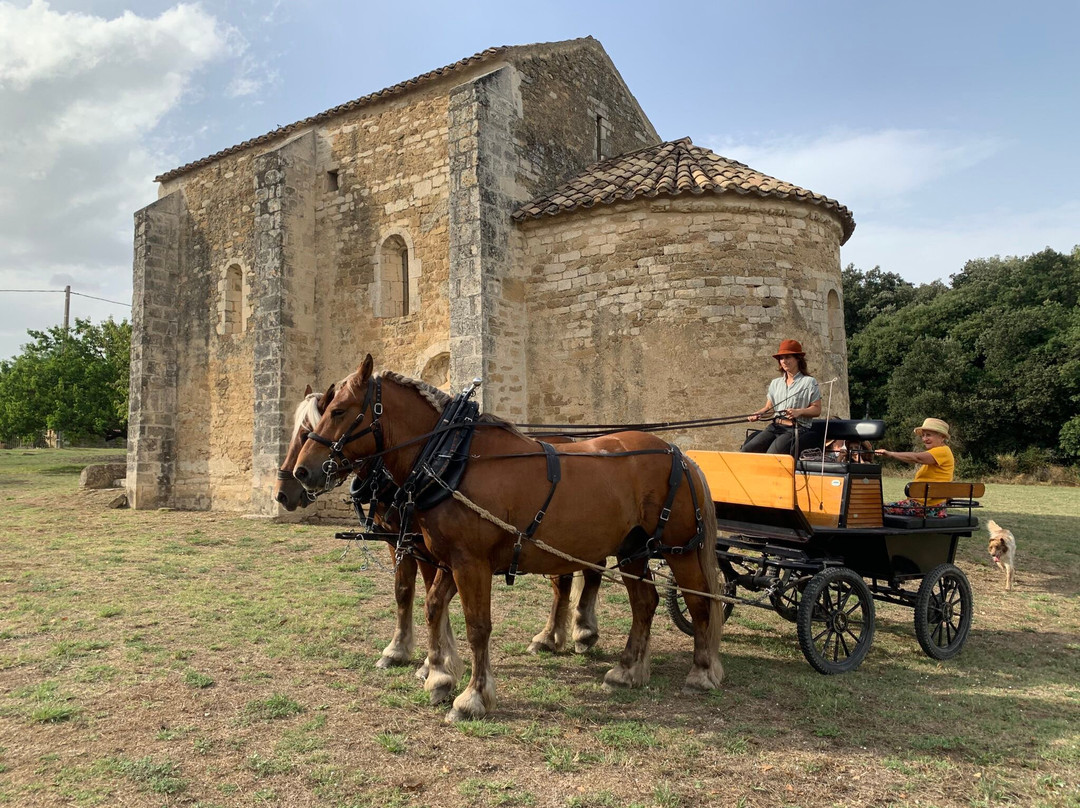 Les Chevaux De L'uzège