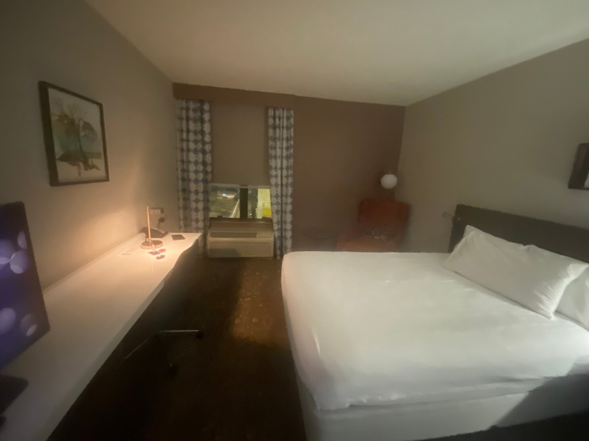 布鲁明顿希尔顿花园旅馆-官方