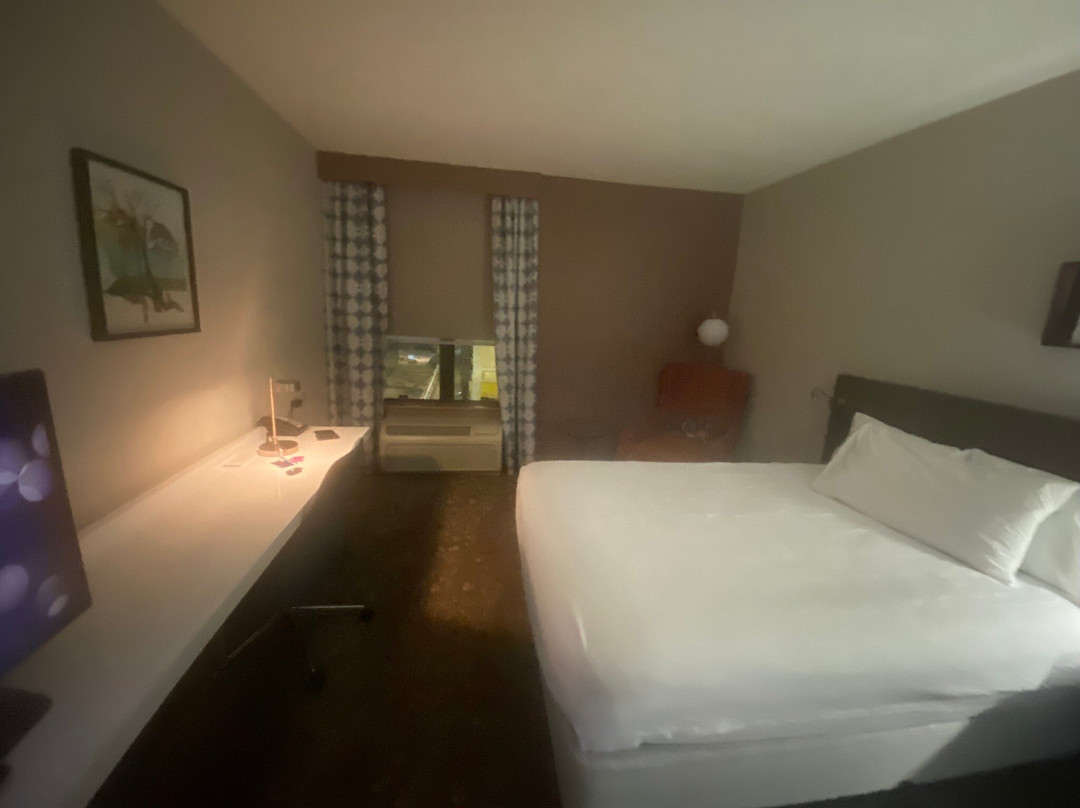 布鲁明顿希尔顿花园旅馆主图