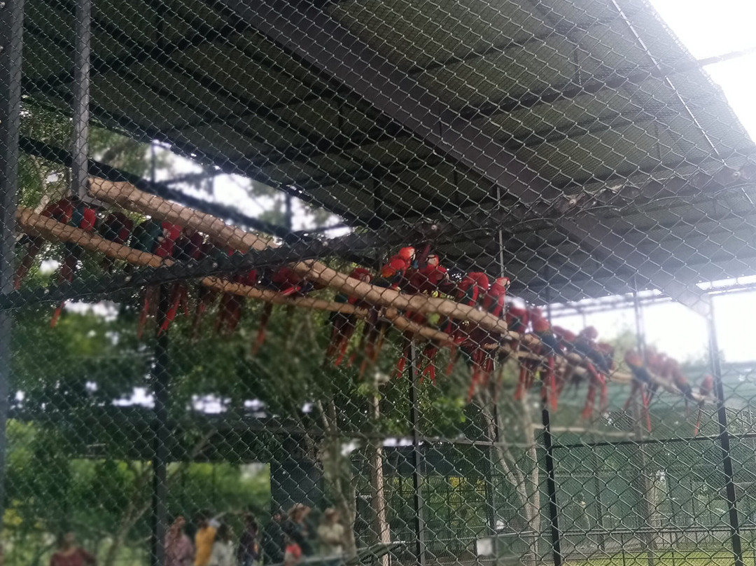 Birds Research Center & Resort景点图片