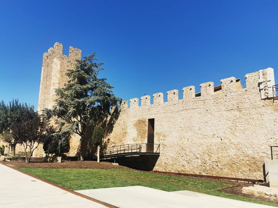 Muralla de Montblanch景点图片