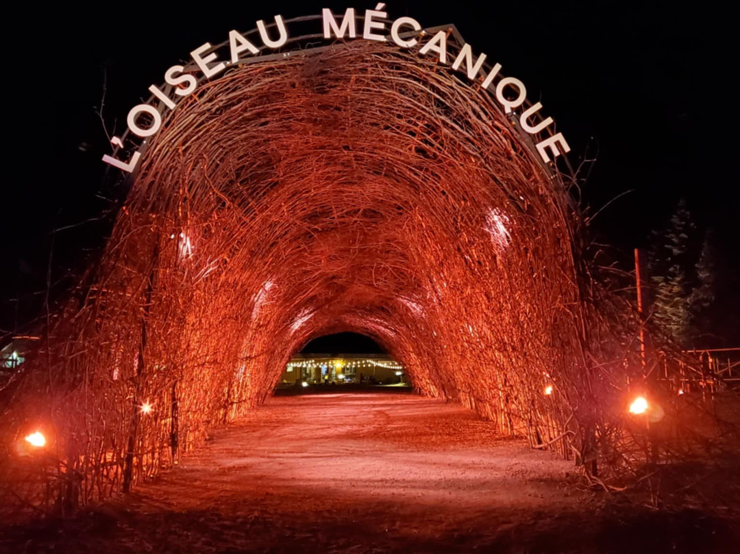 L'oiseau Mécanique-Petite-Riviere-Saint-Francois必去景点