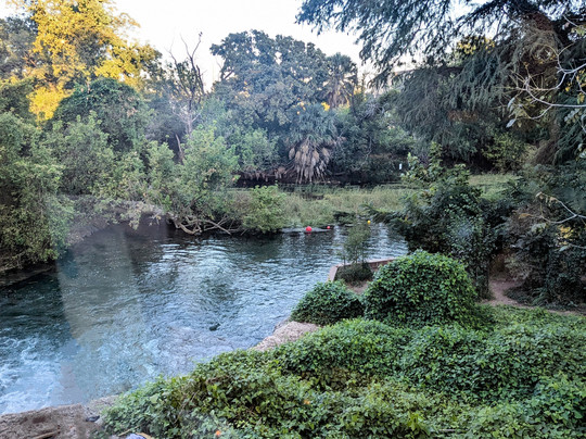 Wingate by Wyndham San Marcos主图