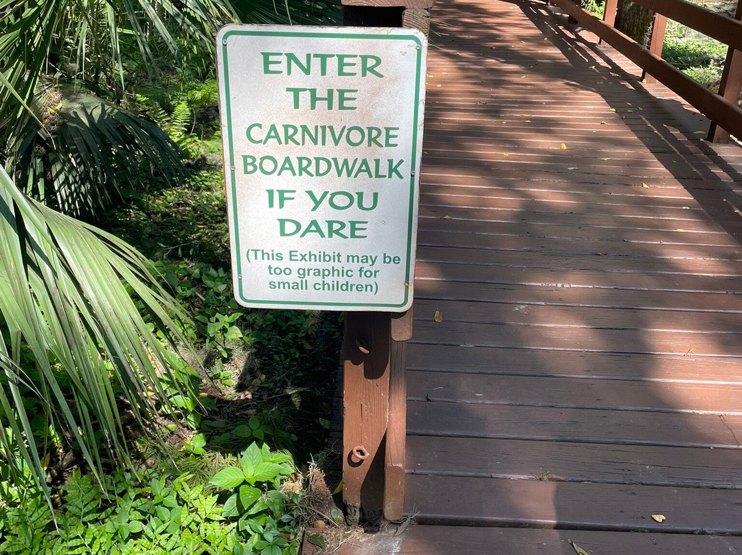 Dinosaur World-普兰特城必去景点