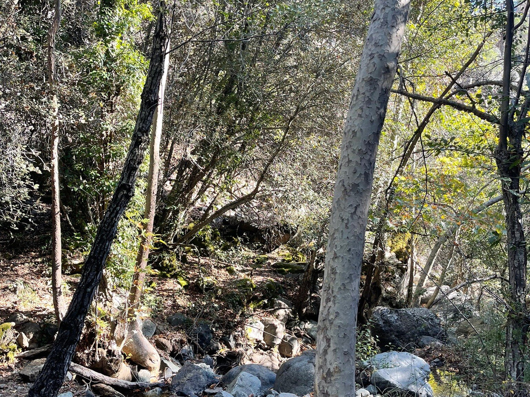 Caledonia Waterfall-帕拉翠斯必去景点