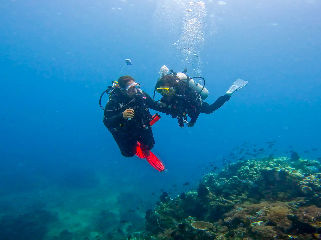 Blow Bubbles Divers-Desa Sekotong Barat必去景点