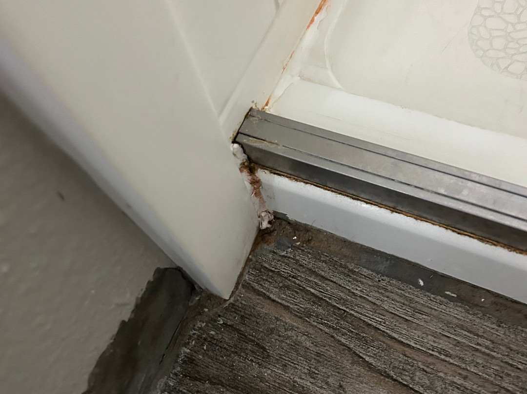 La Quinta Inn & Suites by Wyndham Lackawanna主图