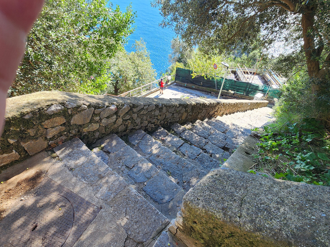 Valle delle Ferriere景点图片
