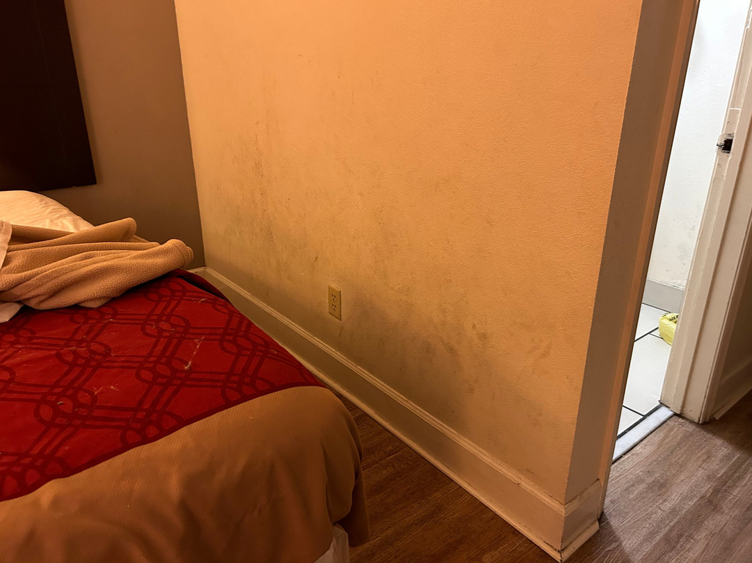 Red Roof Inn Tifton主图