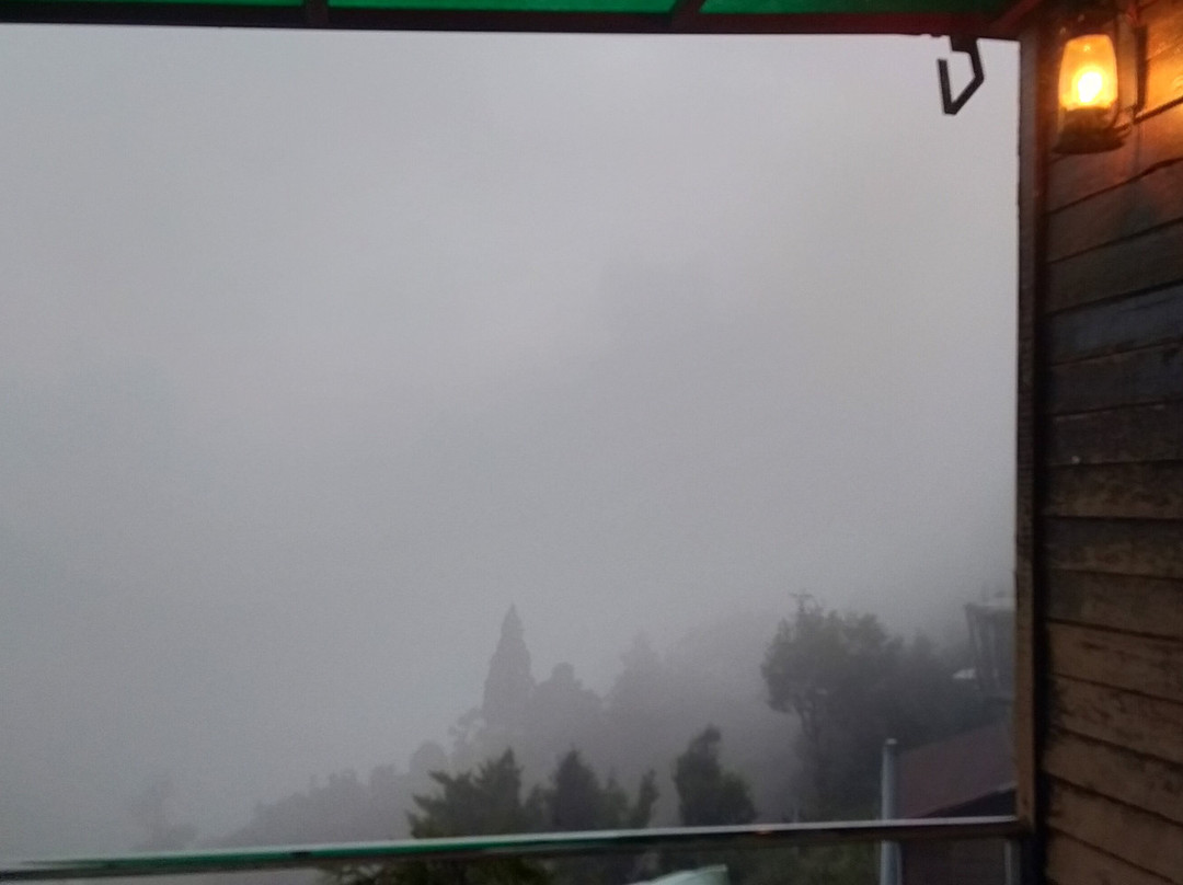 Seclude Pangot, Perch主图