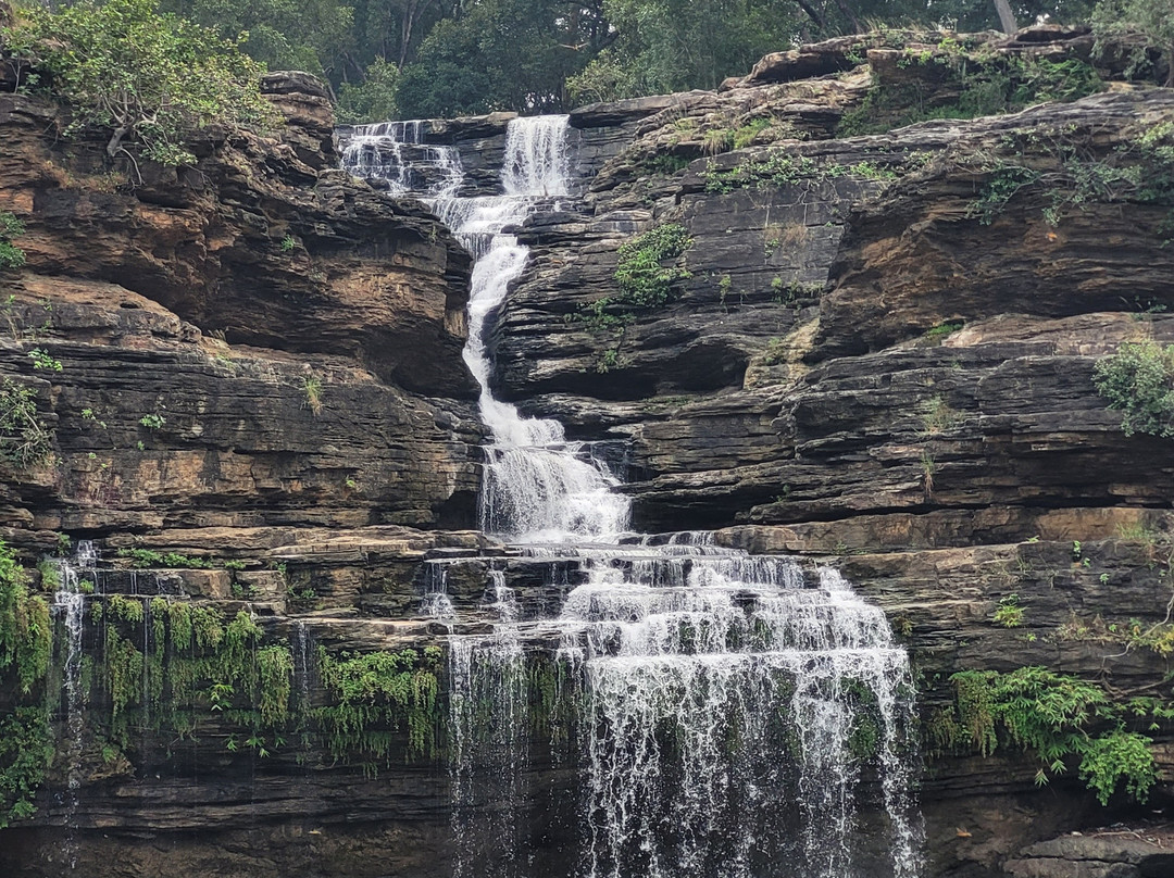 Pandav Falls and Caves景点图片