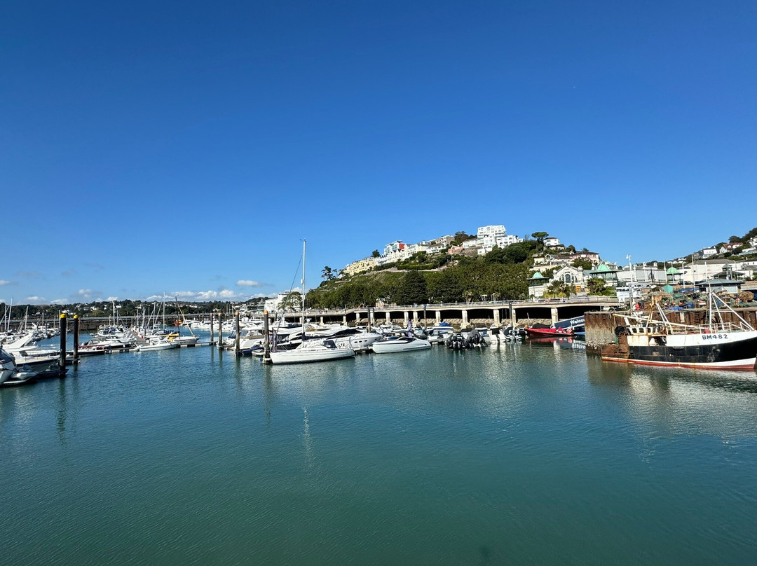 Torquay Harbour (Inner Dock)-托基必去景点