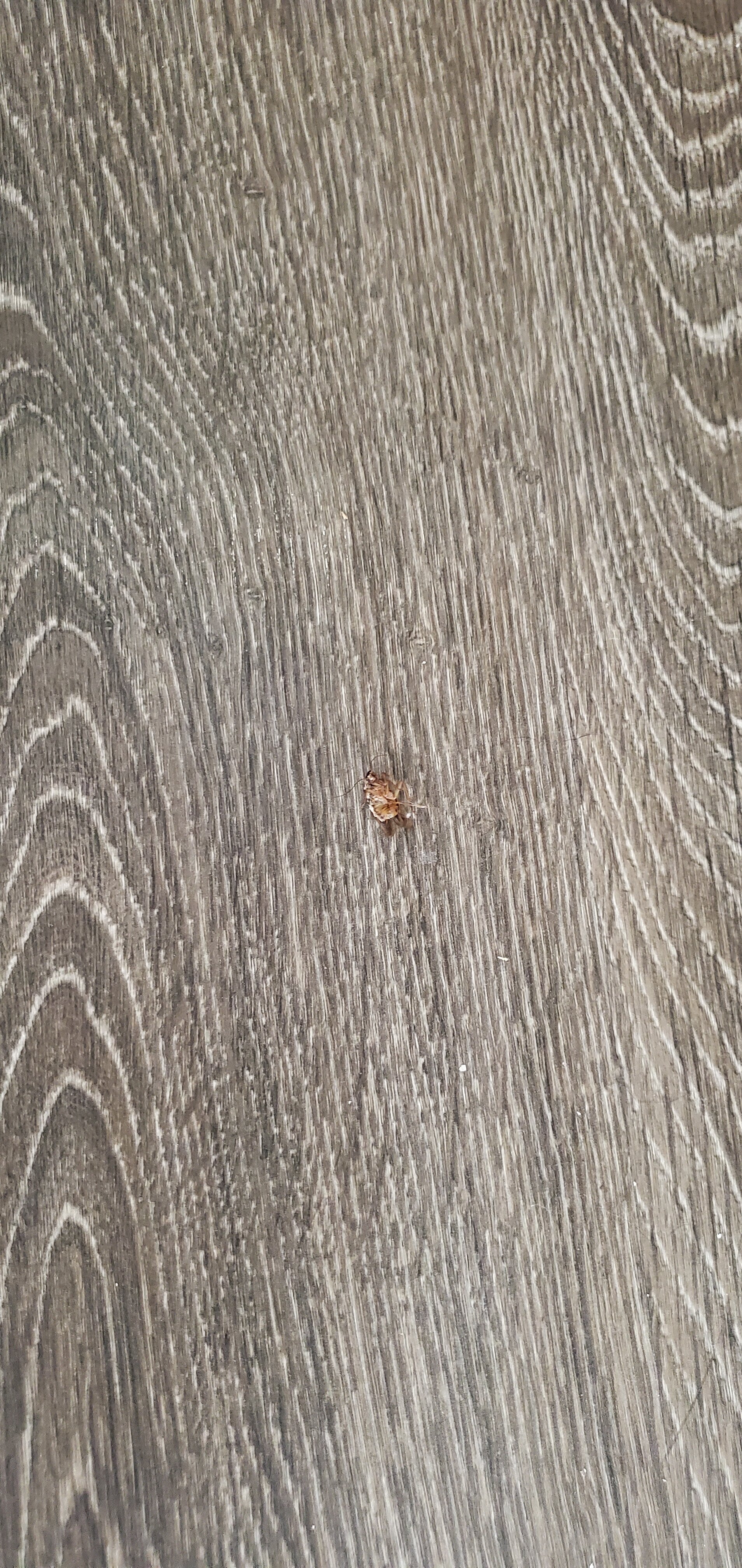 AmericInn By Wyndham Urbana-客卧