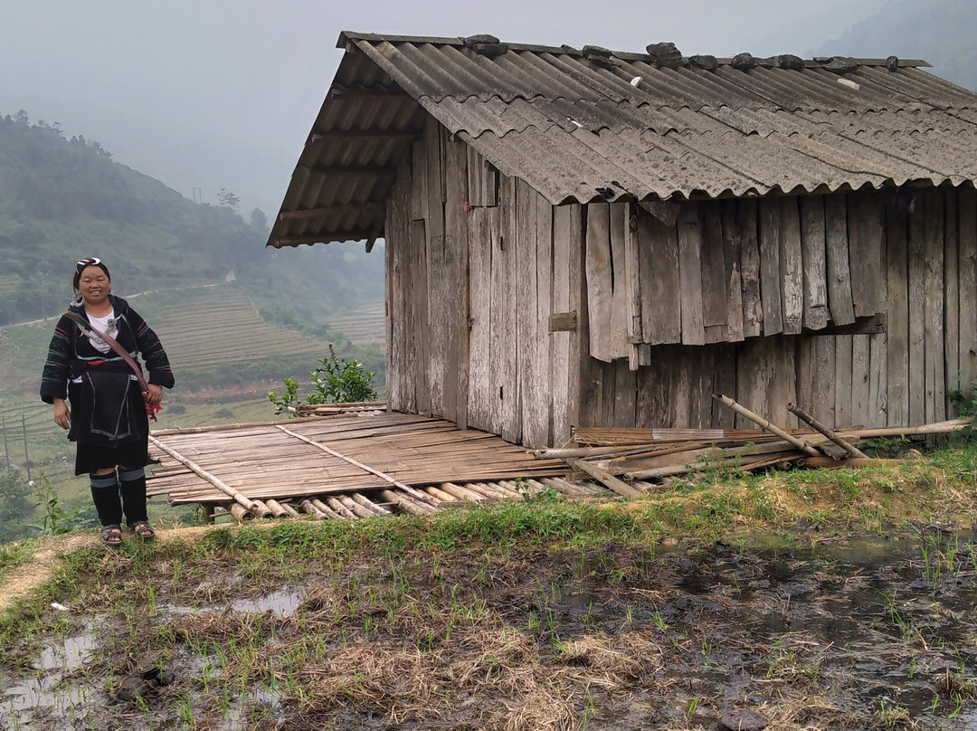 Trekking Tour Sapa景点图片