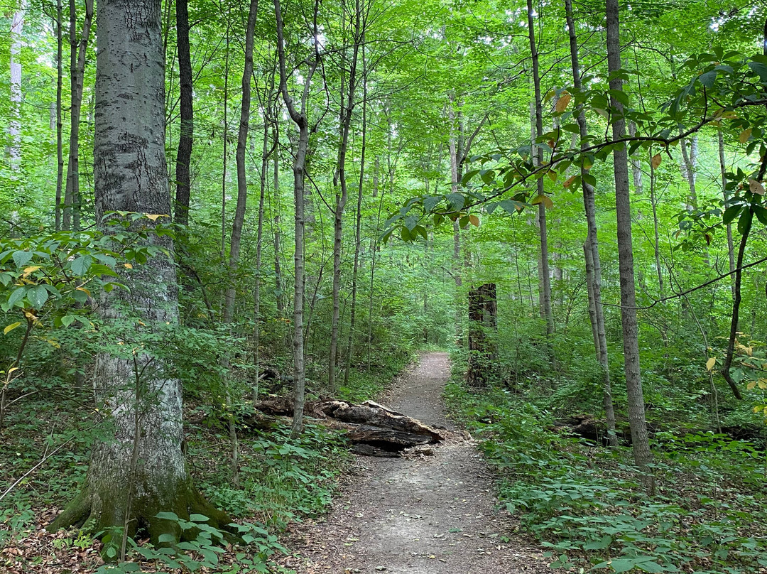 George Rogers Clark Park-斯普林菲尔德必去景点