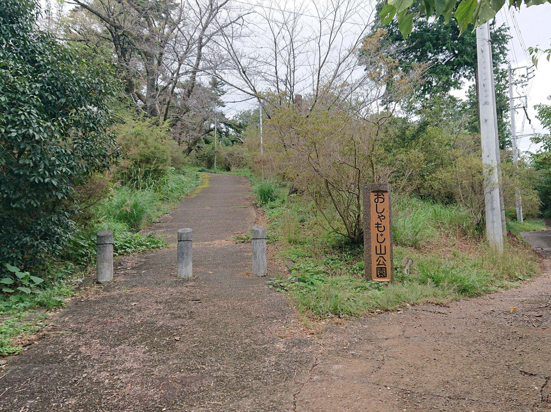 Oshamojiyama Park-鸠山町必去景点