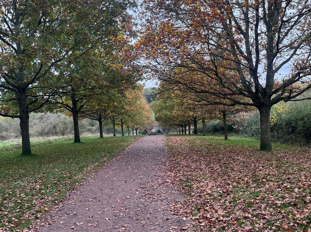 Melton Country Park景点图片