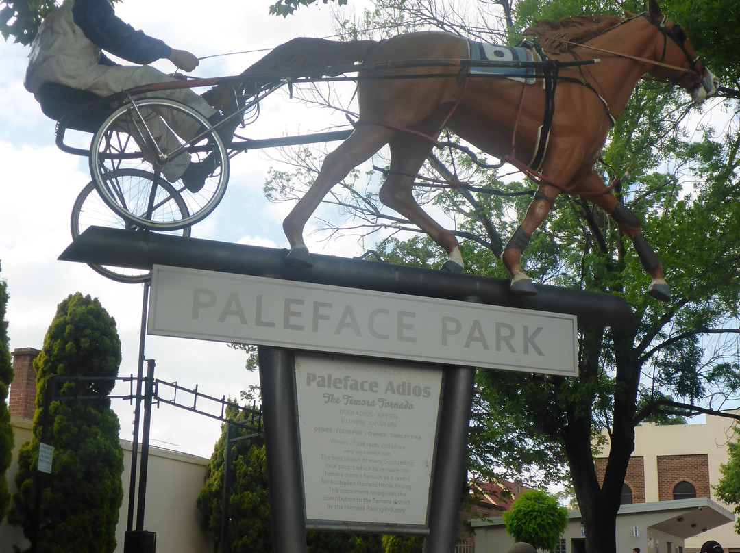 Paleface Park-Temora必去景点