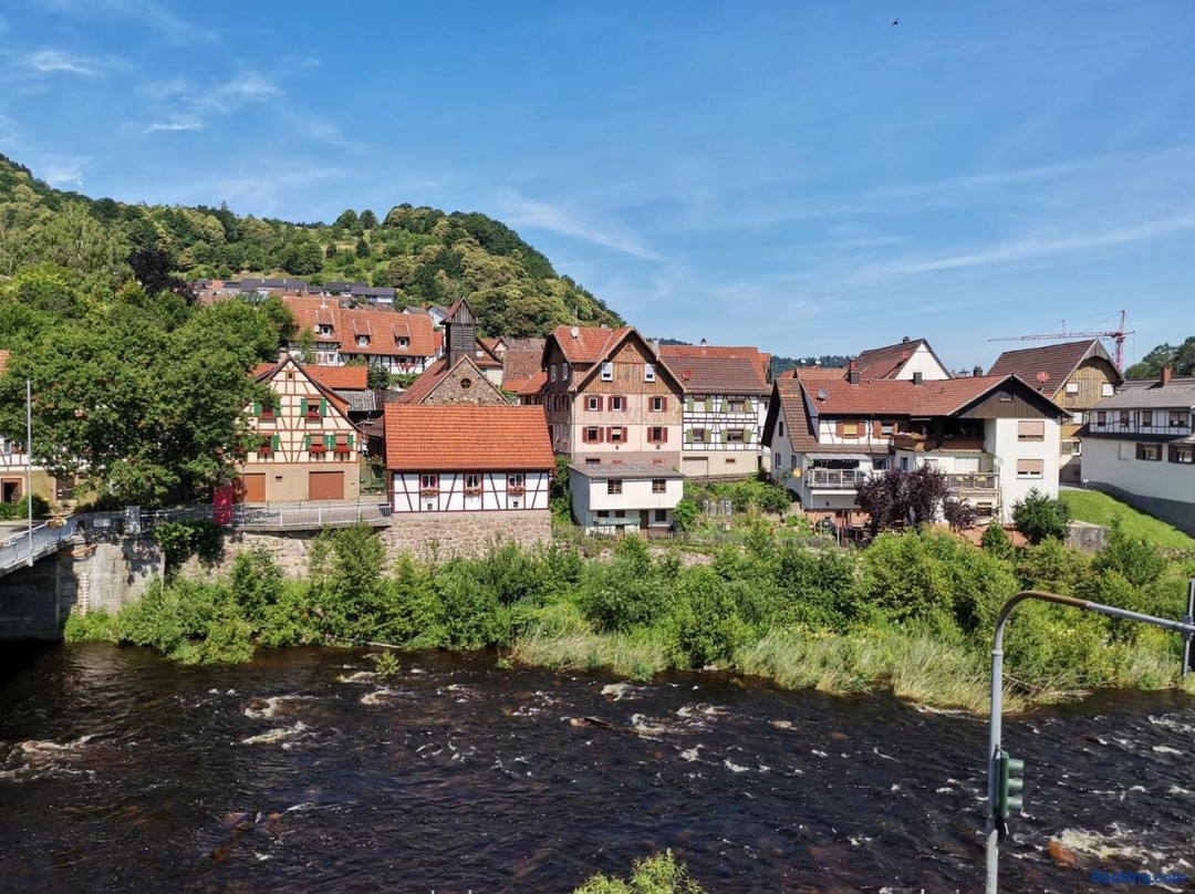 Hotel Grüner Baum - Melissone Italian Restaurant主图