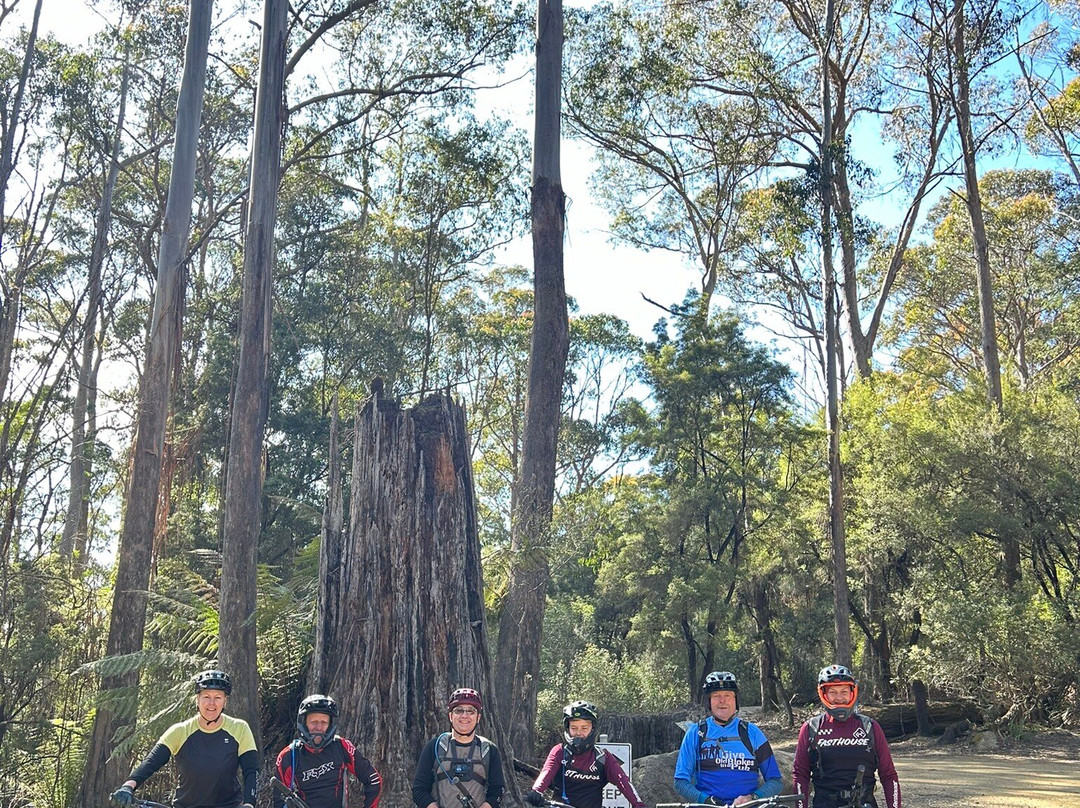 Vertigo MTB-Derby必去景点
