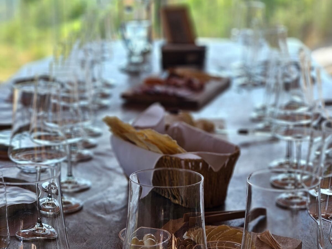 Vínicola Terra Nossa