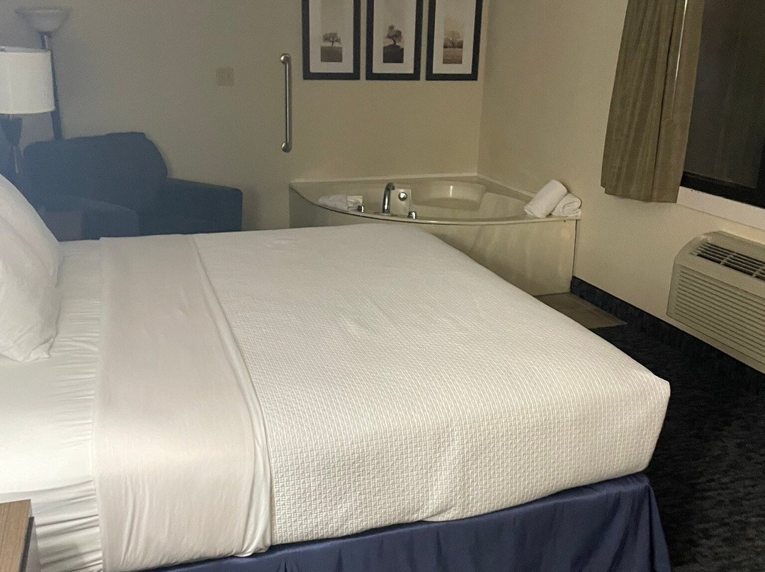 Blossom Hotel & Suites Traverse City主图