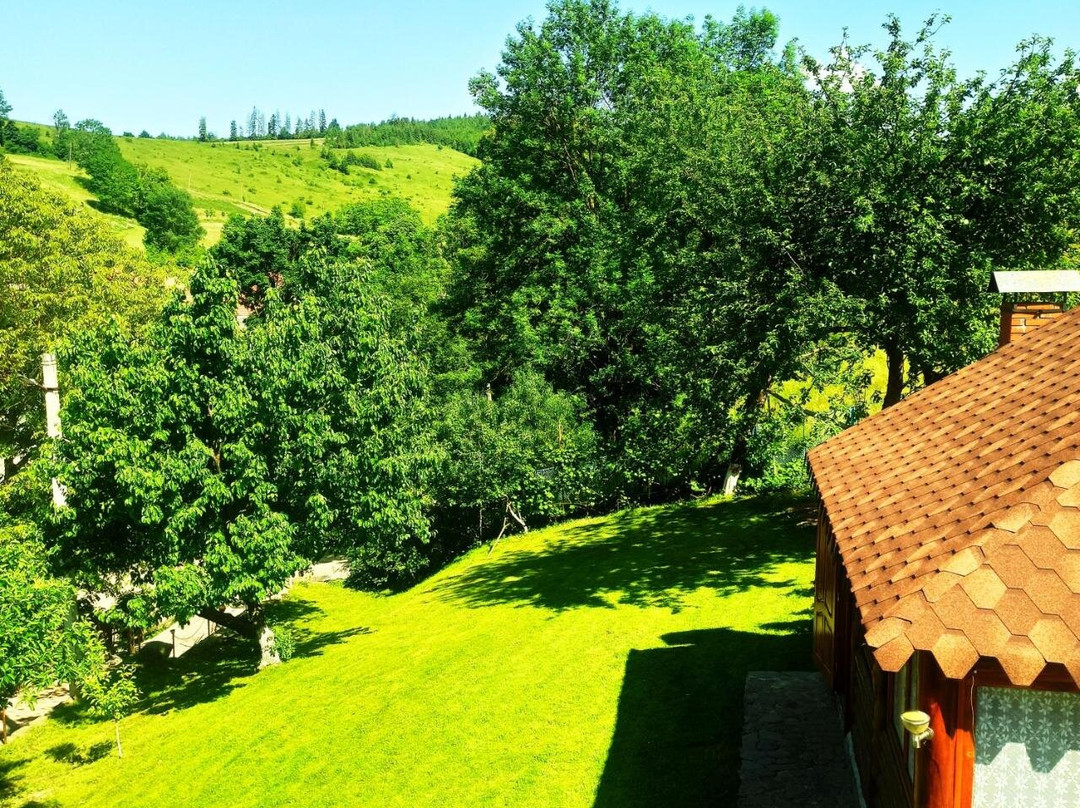 Sadyba U Vasylya