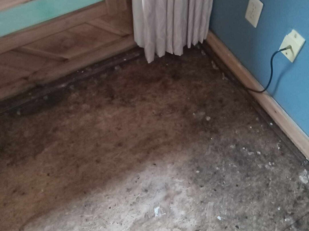 Lakewoods Resort主图