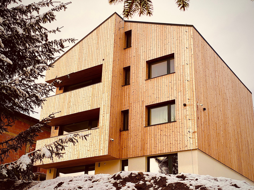 Nordic Apartamente Paltinis