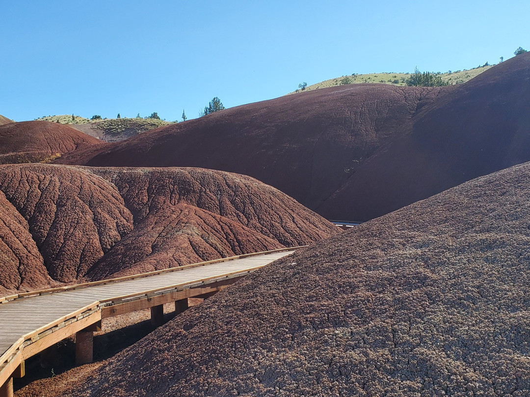 John Day Fossil Beds National Monument, Painted Hills Unit景点图片