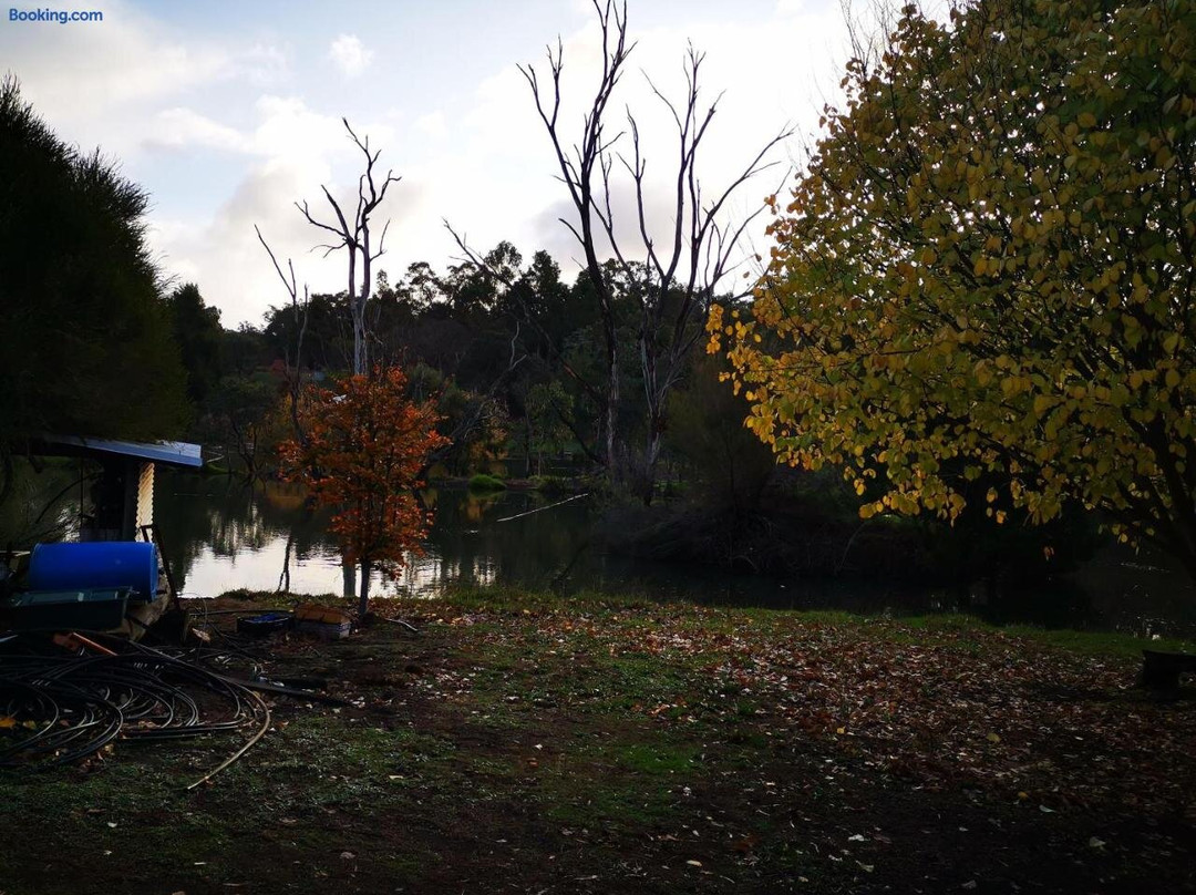 Woodlands of Balingup Bush Cottages -Flora & Fauna Focused