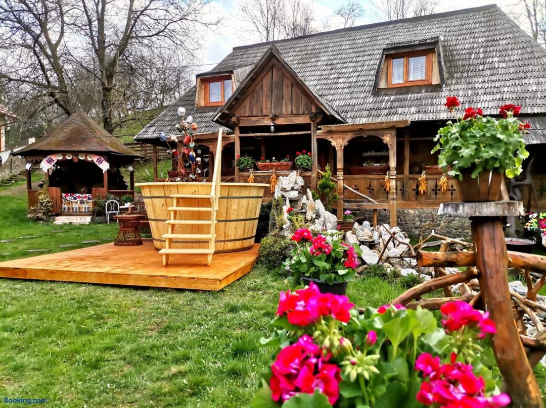 Pensiunea Rustic主图